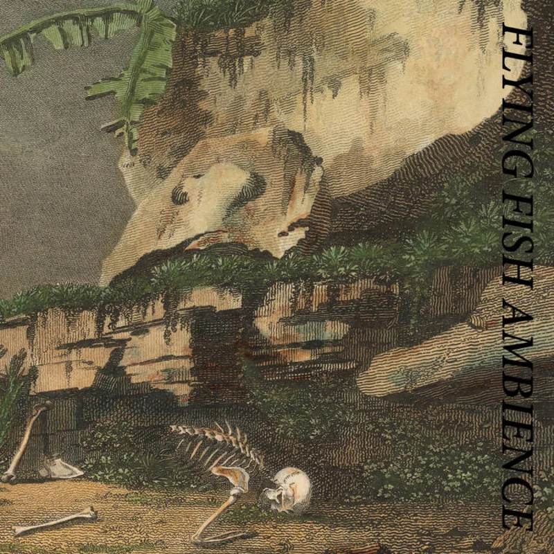 Rainforest Spiritual Enslavement - Flying Fish Ambience 2LP