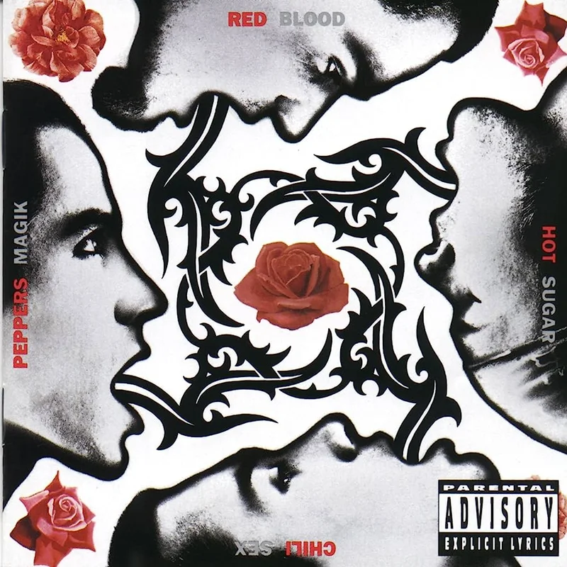 Red Hot Chili Peppers - Blood Sugar Sex Magik 2LP