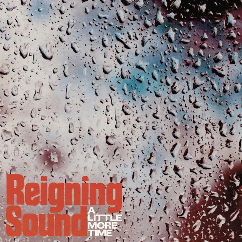 Reigning Sound - A Little More Time 7"