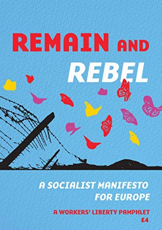 Remain and rebel : A socialist manifesto for Europe