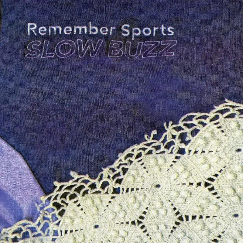 Remember Sports - Slow Buzz LP