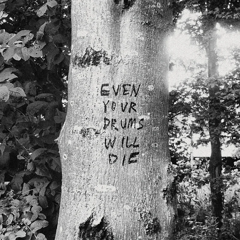 Richard Swift - Even Your Drums Will Die: Live at Pendarvis Farm 2011 LP