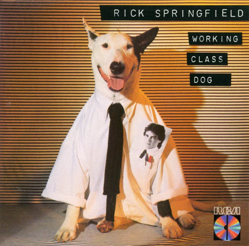 Rick Springfield - Working Class Dog (CD)