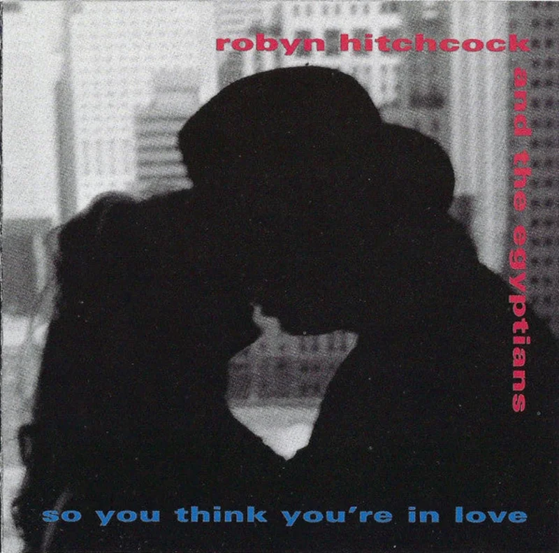 Robyn Hitchcock And The Egyptians* - So You Think You're In Love (CD)