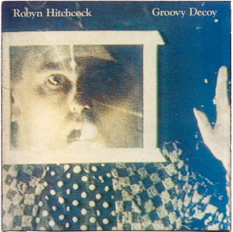 Robyn Hitchcock - Groovy Decoy (CD)