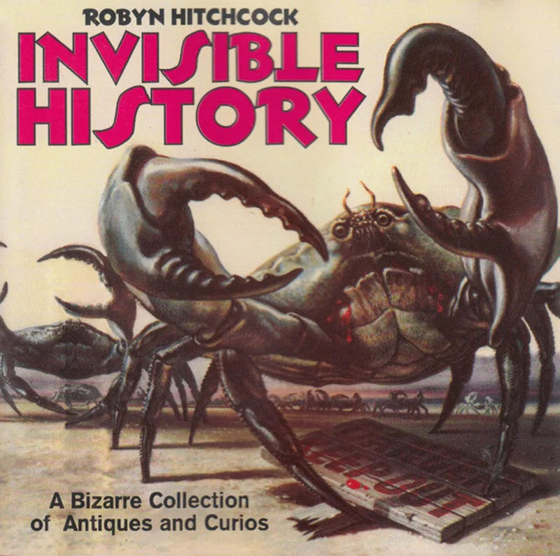 Robyn Hitchcock - Invisible History (CD)