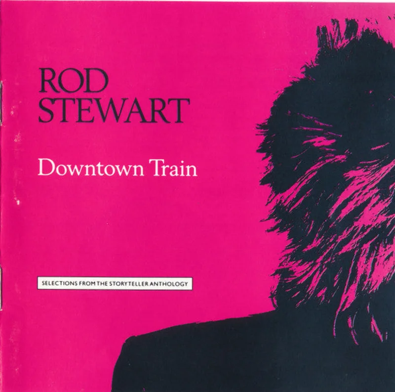 Rod Stewart - Downtown Train (Selections From The Storyteller Anthology) (CD)