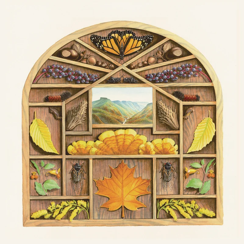 Sarah Louise - Field Guide LP