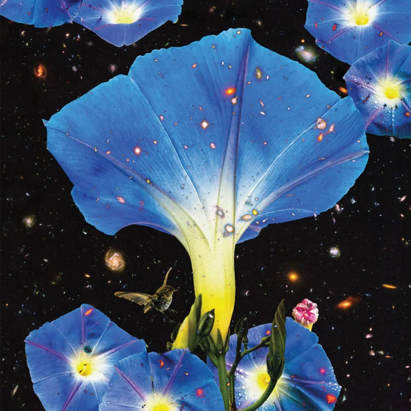 Sarah Louise - Nighttime Birds and Morning Stars LP