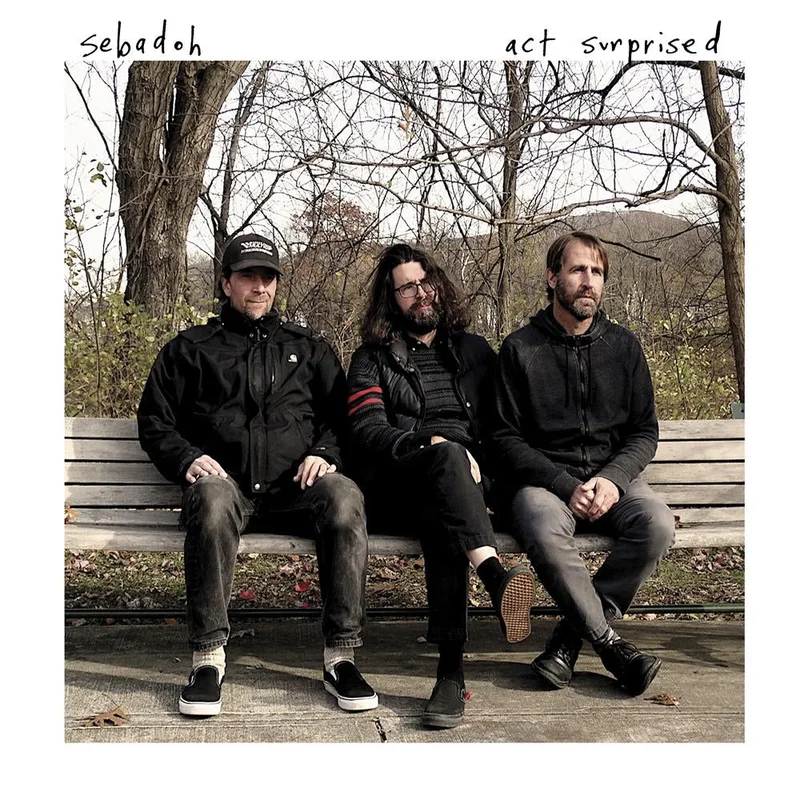Sebadoh - Act Surprised LP