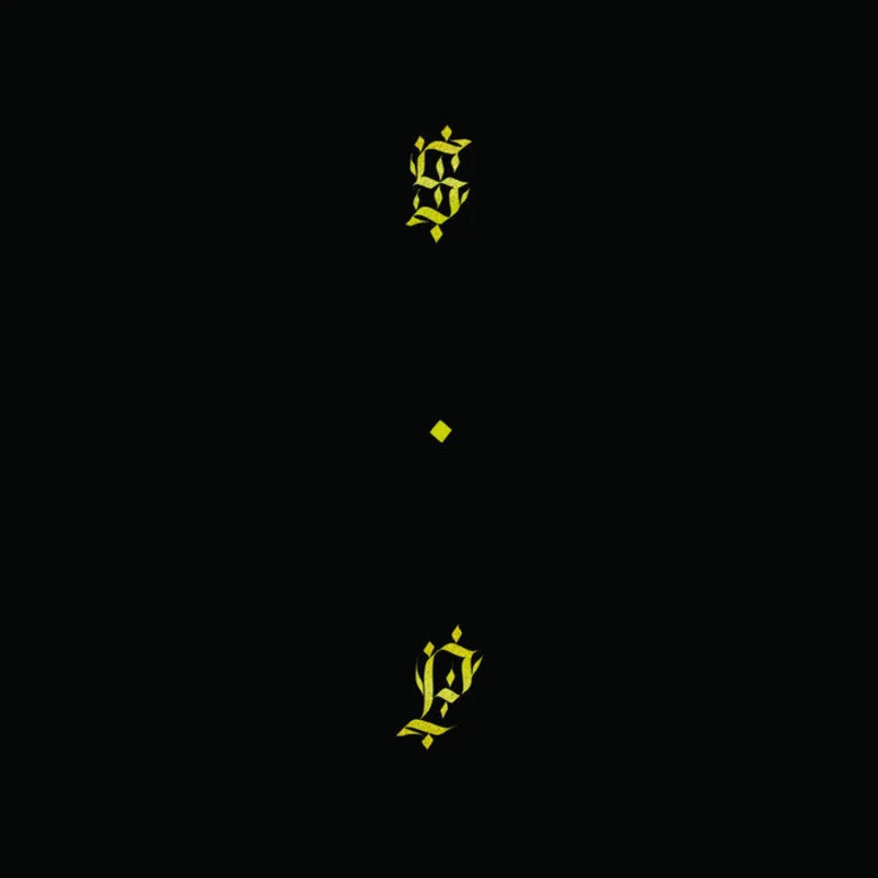 Shabazz Palaces - Black Up LP