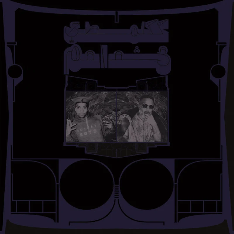 Shabazz Palaces - Exotic Birds of Prey LP