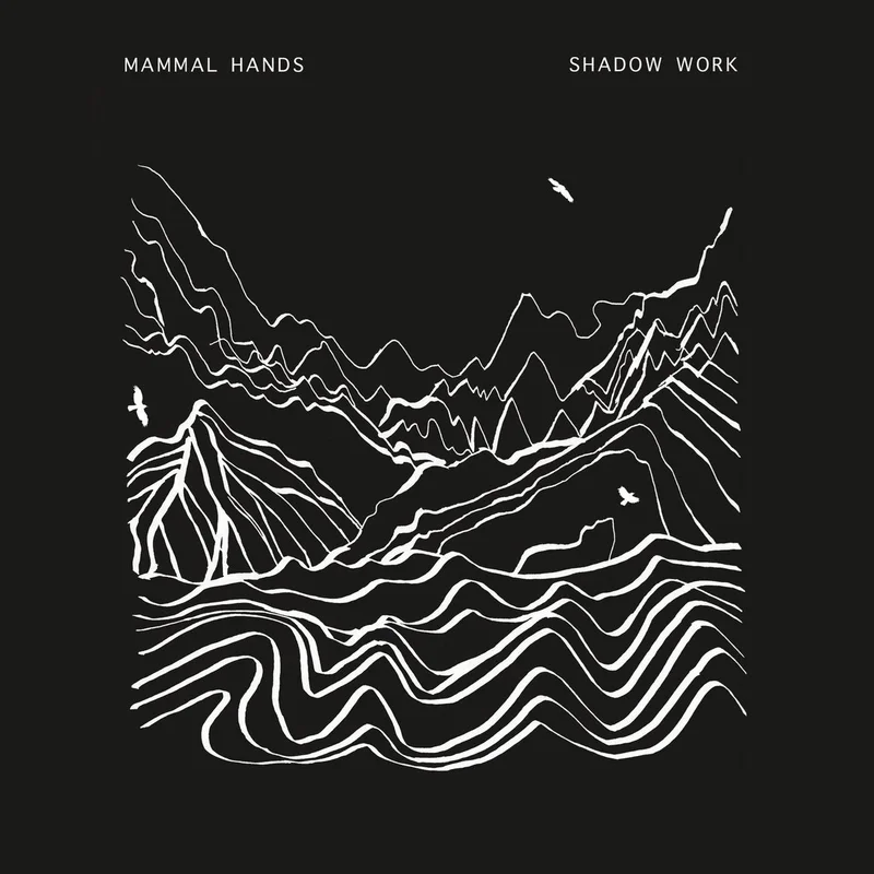 Shadow Work (2LP Repress)