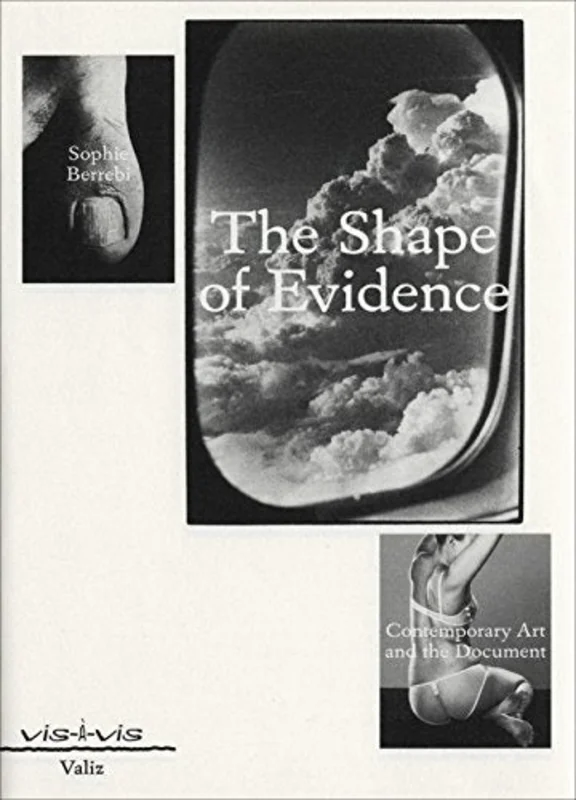 Shape of Evidence : Contemporary Art and the Document