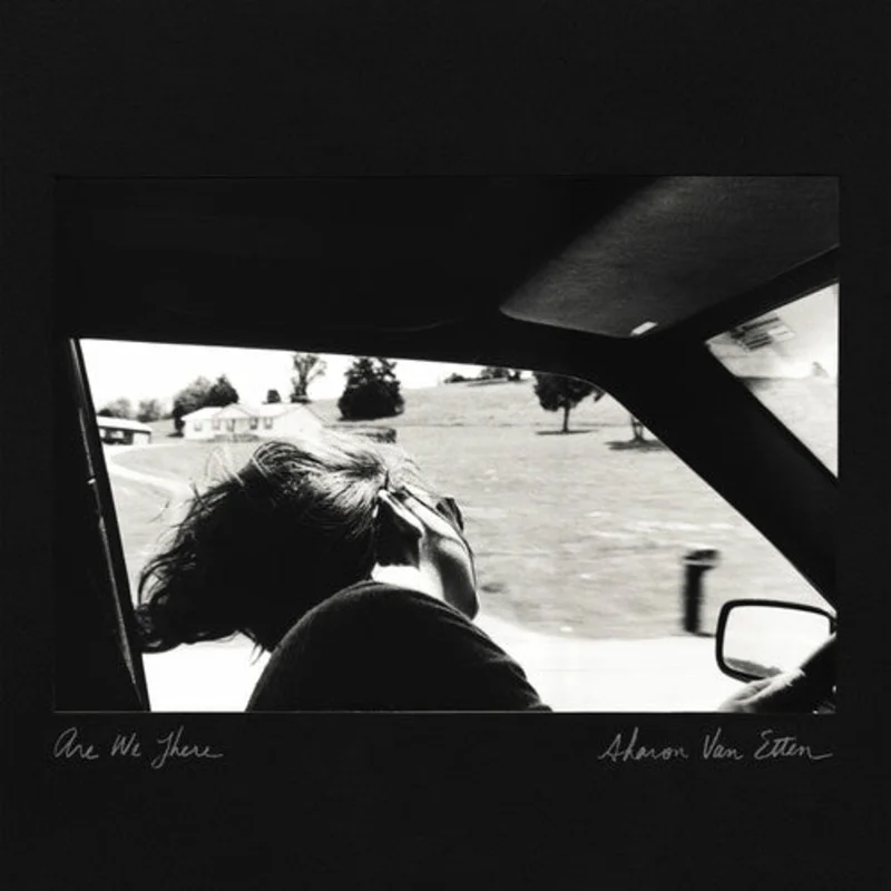 Sharon Van Etten - Are We There LP