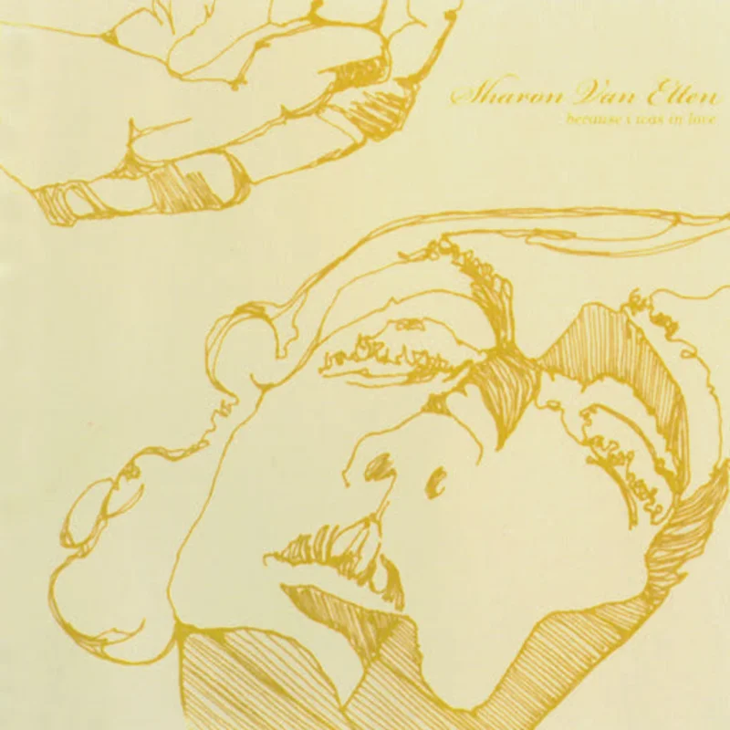 Sharon Van Etten - Because I Was in Love LP