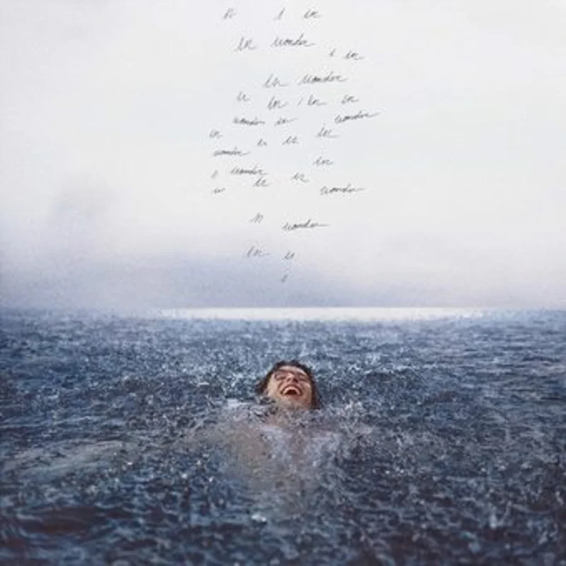 Shawn Mendes-Wonder (LP)