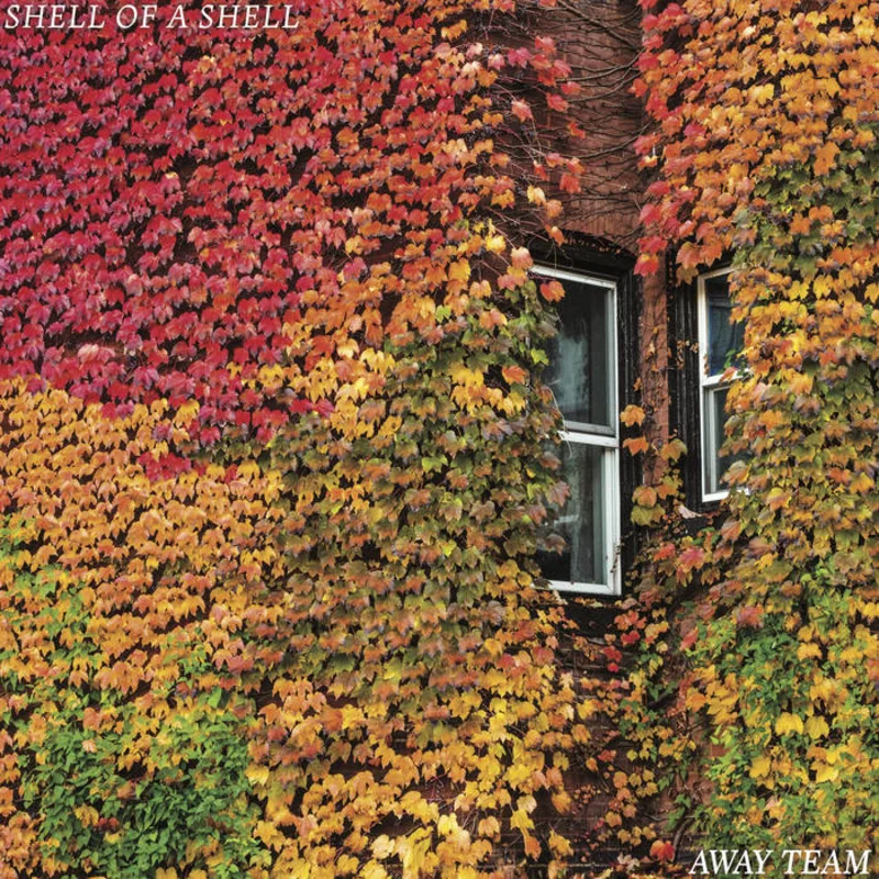 Shell of a Shell - Away Team LP