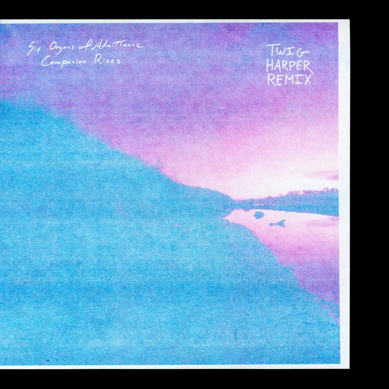 Six Organs of Admittance - Companion Rises (Twig Harper Remix) LP