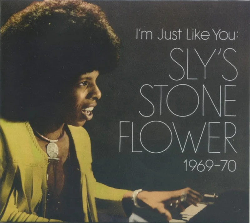 Sly Stone - I'm Just Like You: Sly's Stone Flower 1969-70 (CD)