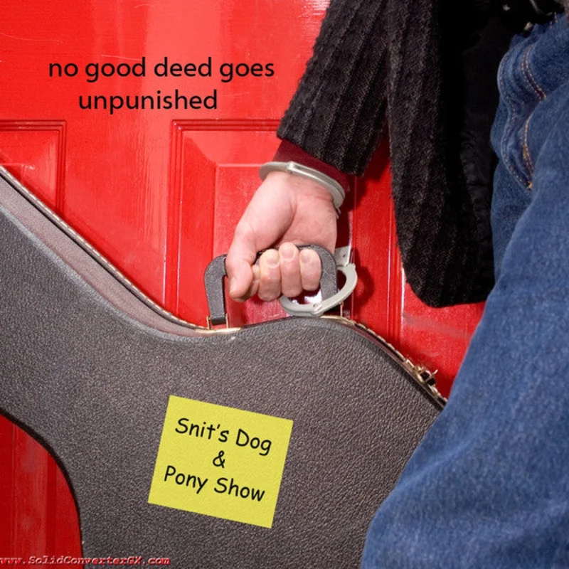 Snit's Dog & Pony Show - No Good Deed Goes Unpunished (CD)