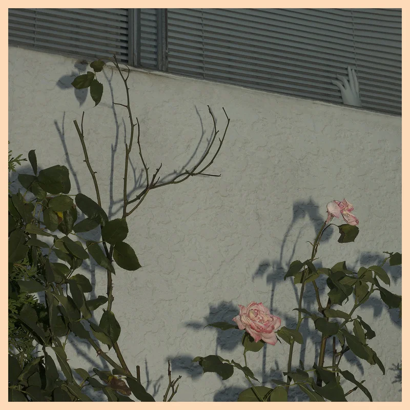 Soft Kill - Savior LP