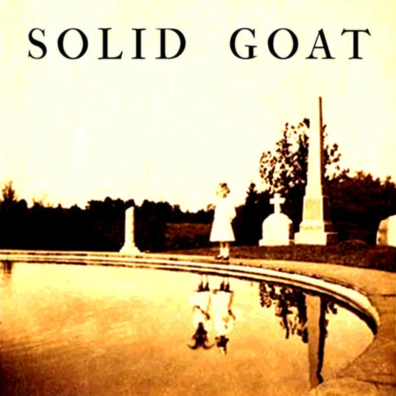 Solid Goat - Everything Is Awesome (CD)