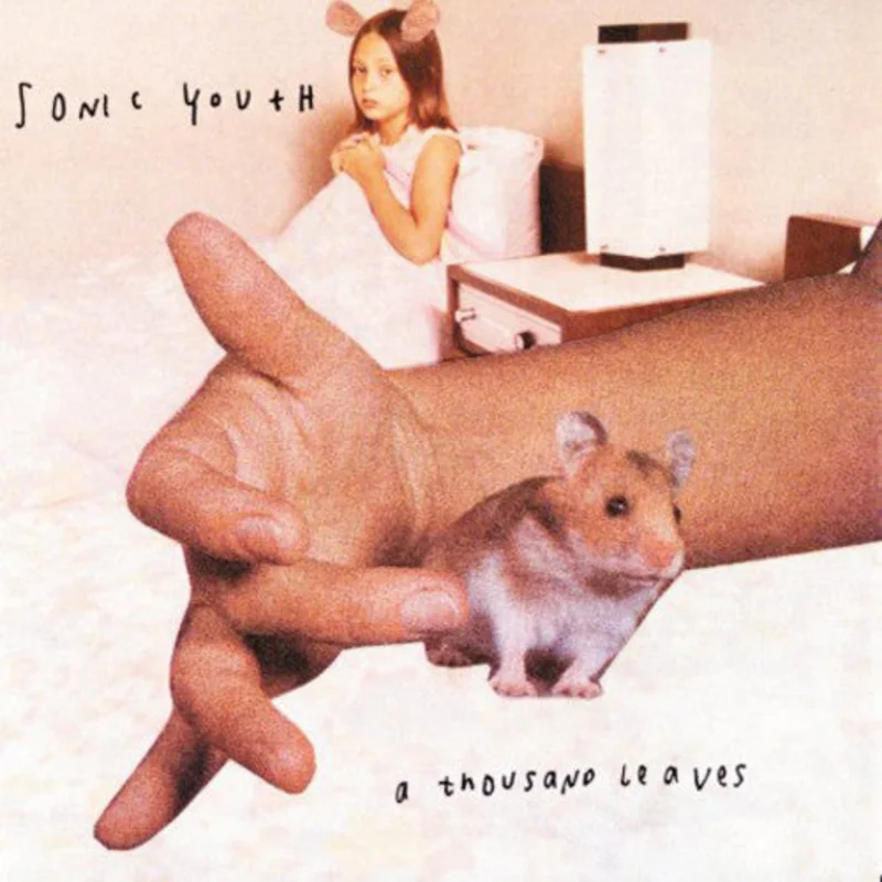 Sonic Youth-A Thousand Leaves (2XLP)