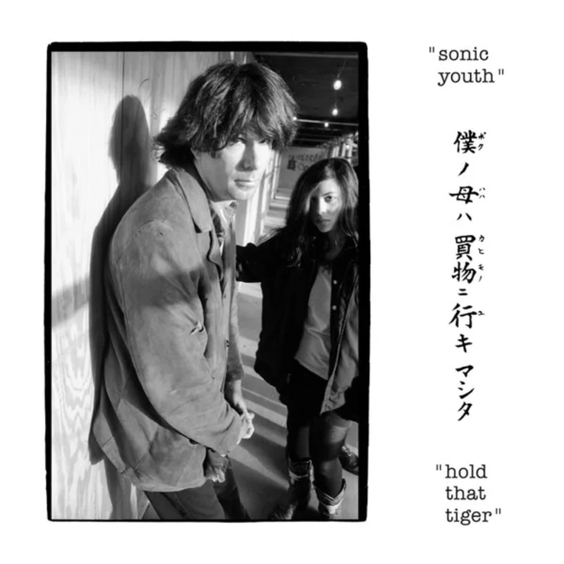 Sonic Youth - Hold That Tiger 2LP