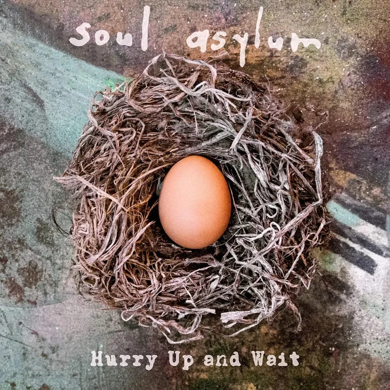 Soul Asylum-Hurry Up And Wait (Cassette)