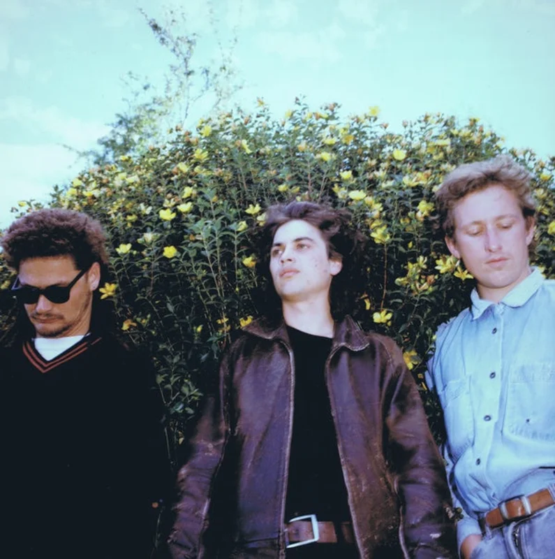 Stephen - Radar of Small Dogs LP