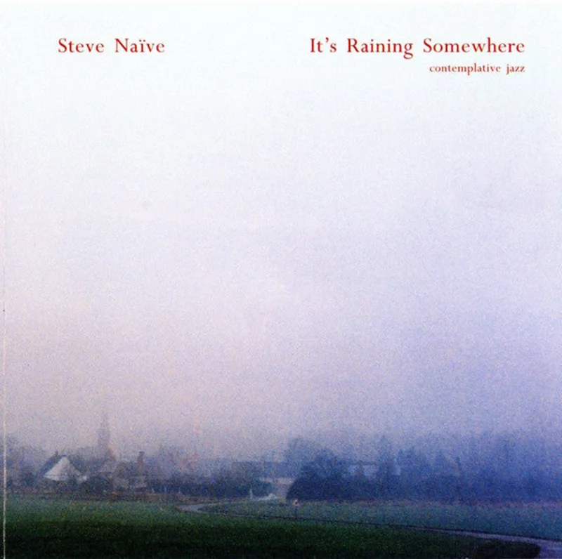 Steve Nieve - It's Raining Somewhere (CD)