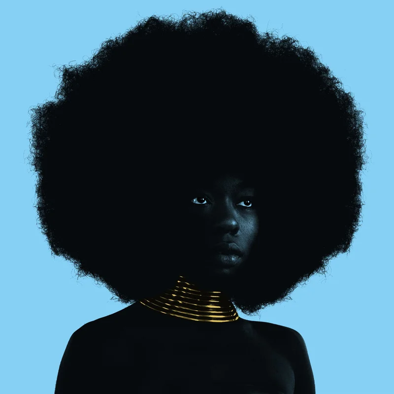 Sudan Archives - Sink EP 12"