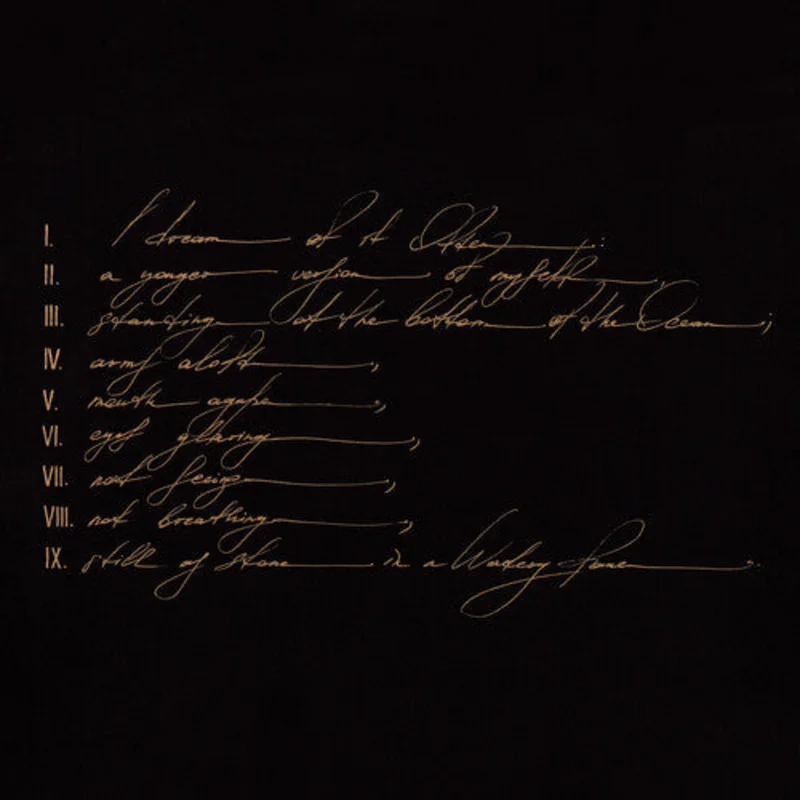 Telefon Tel Aviv - Dreams Are Not Enough 2LP