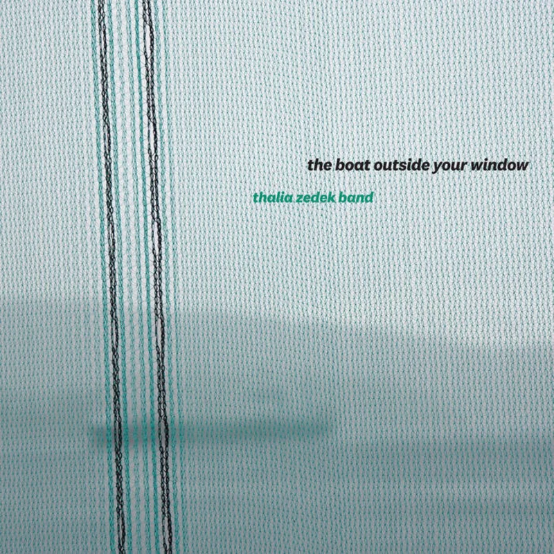 Thalia Zedek Band - The Boat Outside Your Window LP