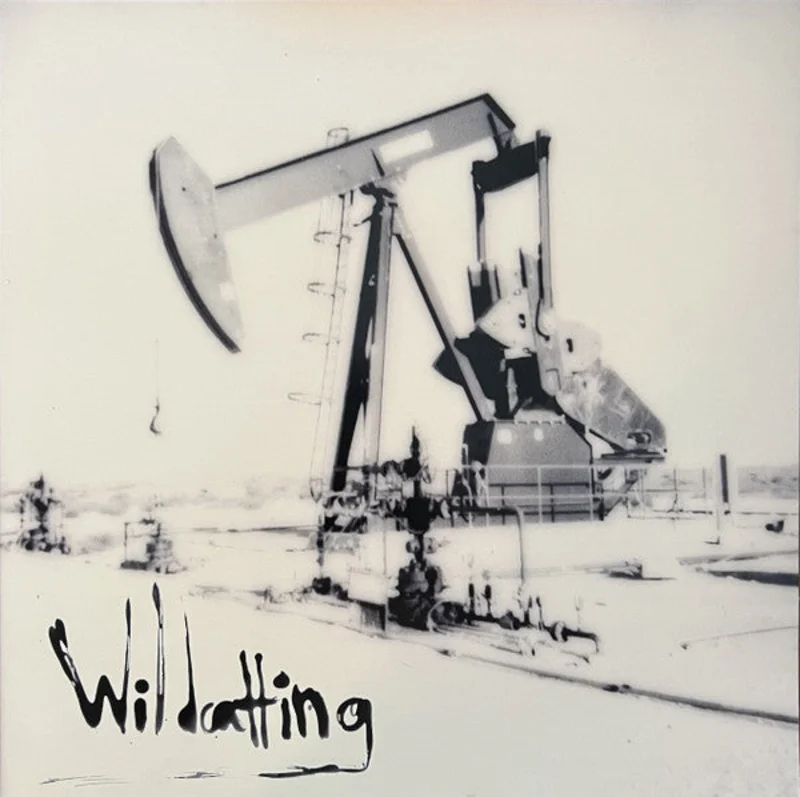 Thanks Light - Wildcatting (Vinyl)