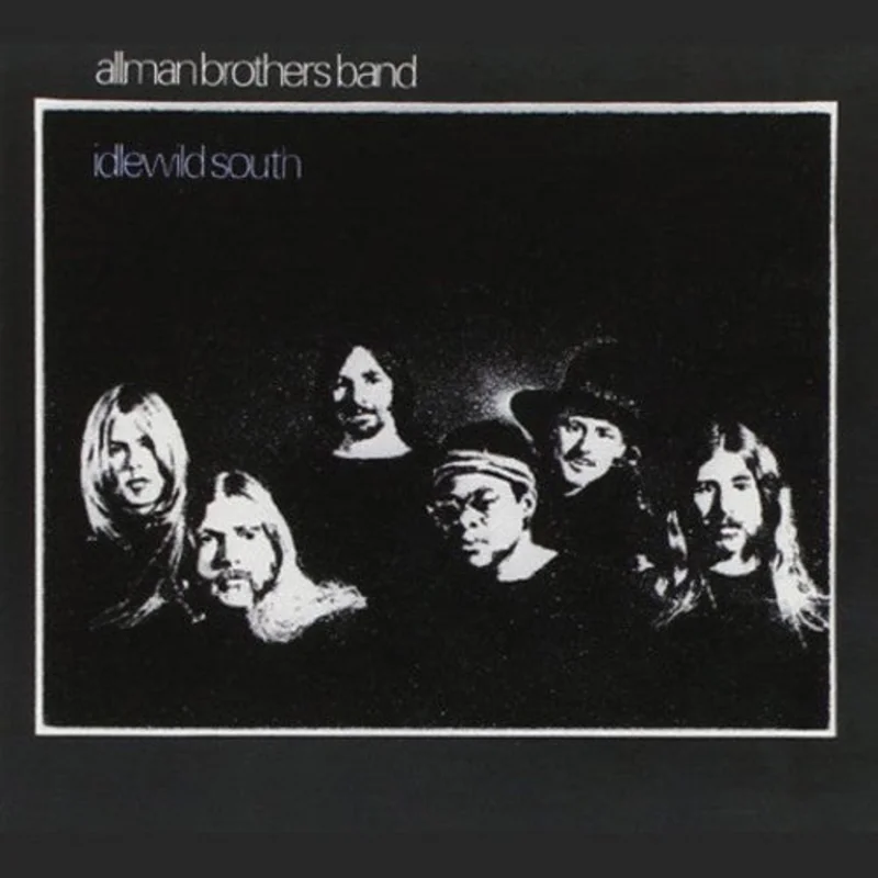 The Allman Brothers Band-Idlewild South (LP)