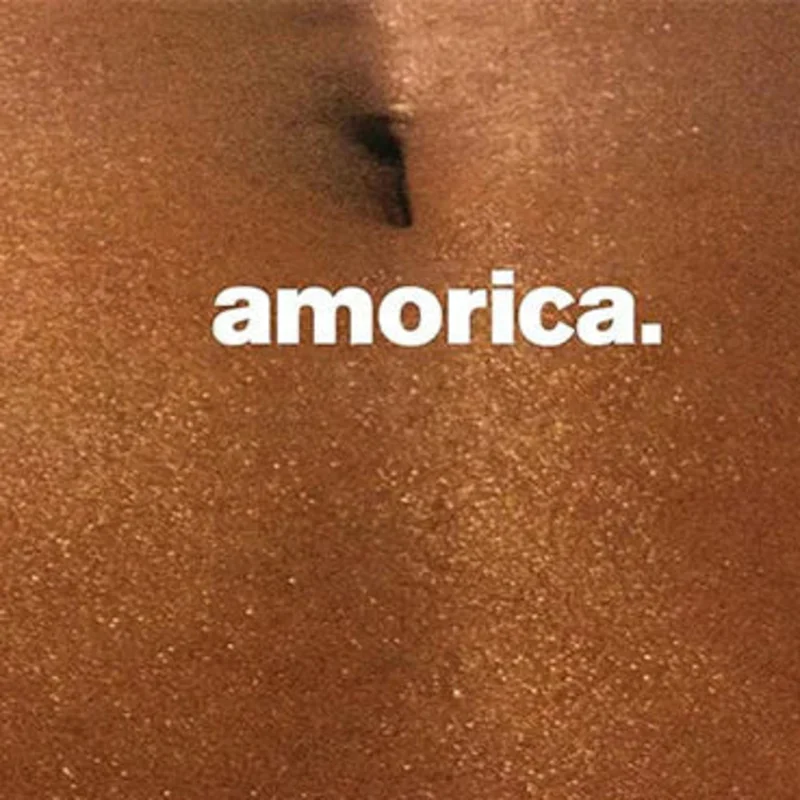 The Black Crowes-Amorica. (2XLP)