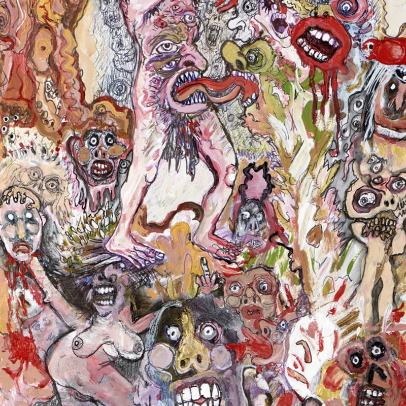 The Bug Club - Very Human Features LP