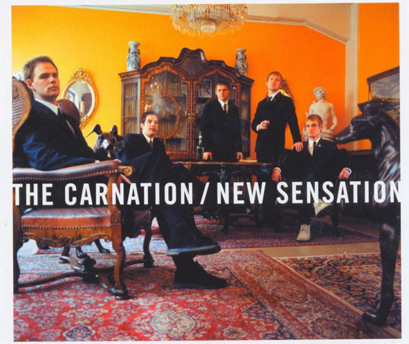 The Carnation - New Sensation (CD)