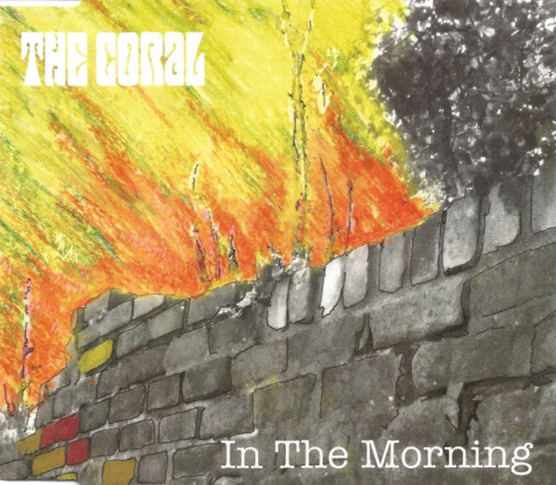 The Coral - In The Morning (CD)