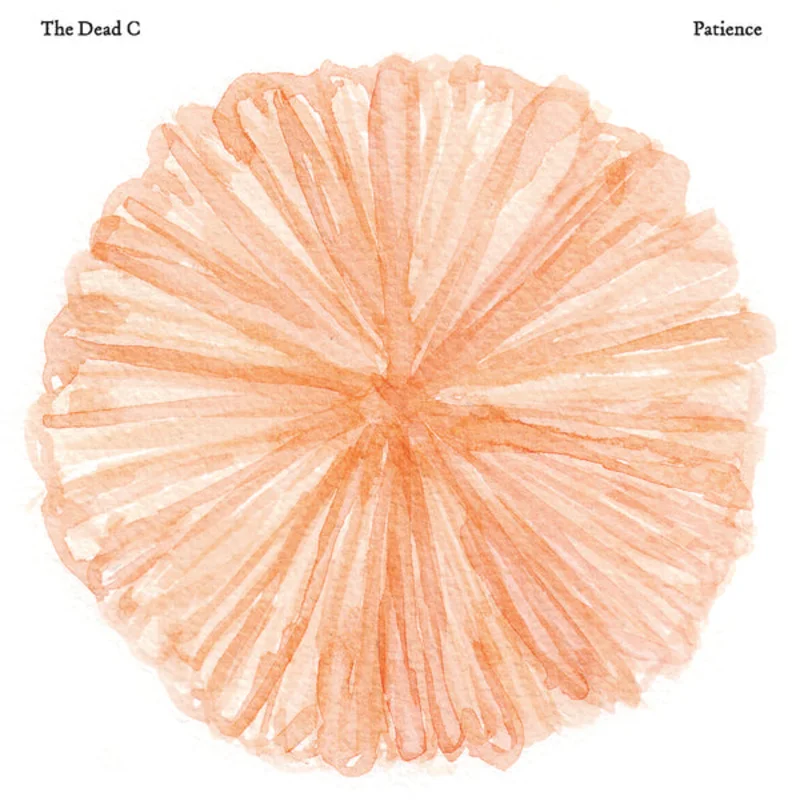The Dead C - Patience LP
