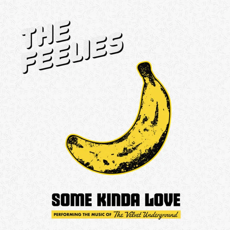 The Feelies - Some Kinda Love: Performing the Music of The Velvet Underground 2LP