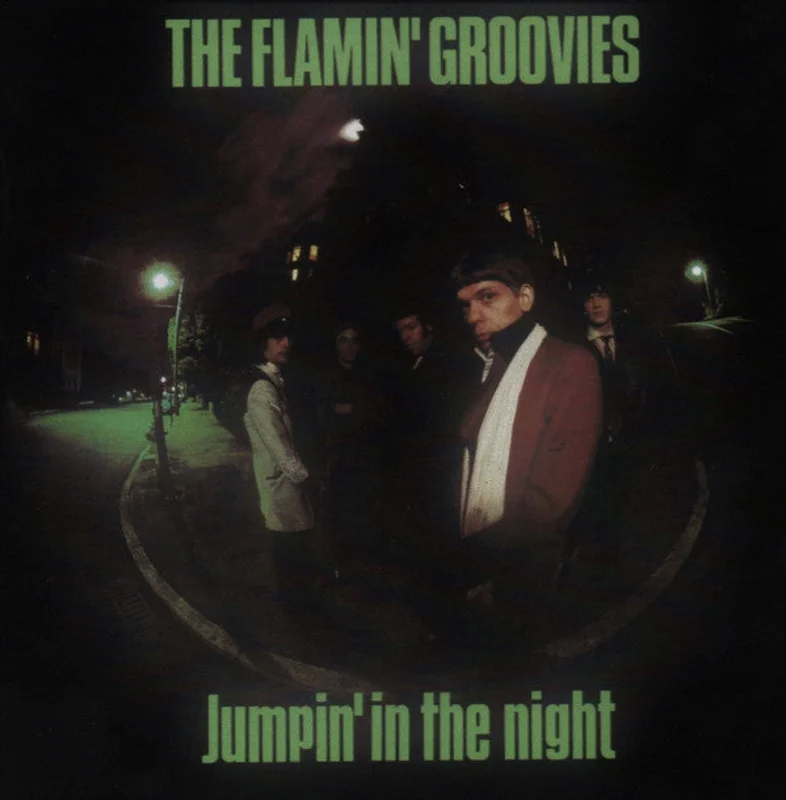 The Flamin' Groovies - Jumpin' In The Night (CD)