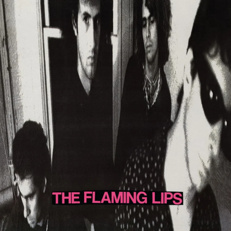 The Flaming Lips - In a Priest Driven Ambulance LP