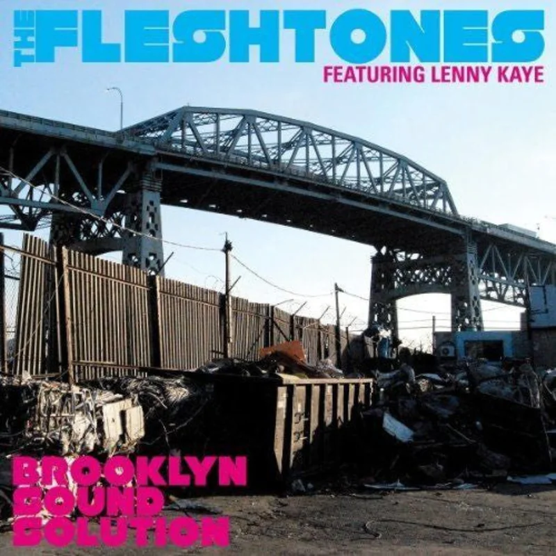 The Fleshtones & Lenny Kaye - Brooklyn Sound Solution (CD)