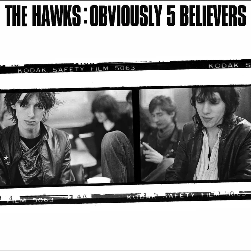 The Hawks - Obviously 5 Believers LP