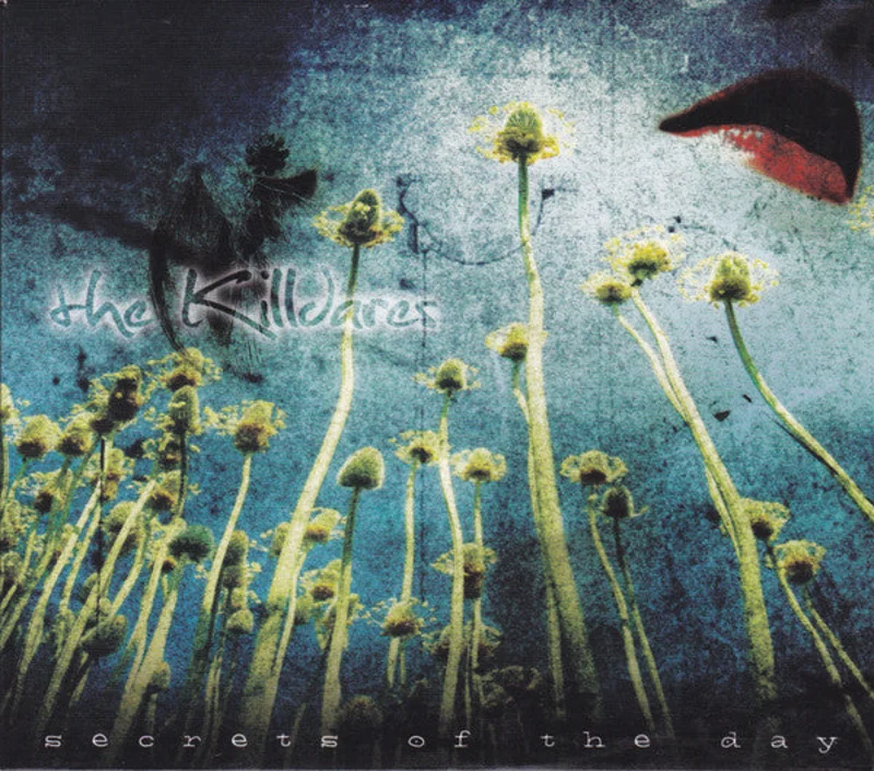 The Killdares - Secrets Of The Day (CD)