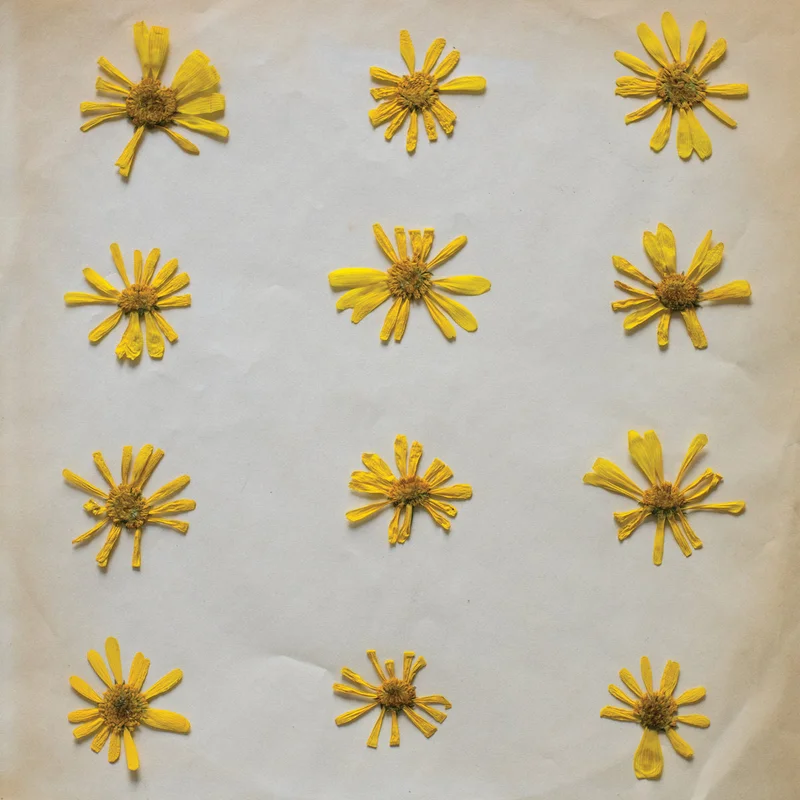 The Molochs - Flowers in the Spring LP