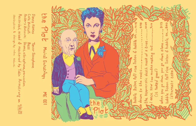 The Plot - The Plot (Cass)